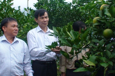 Cao Bằng phê duyệt dự án Nâng cao năng suất chất lượng đến năm 2020
